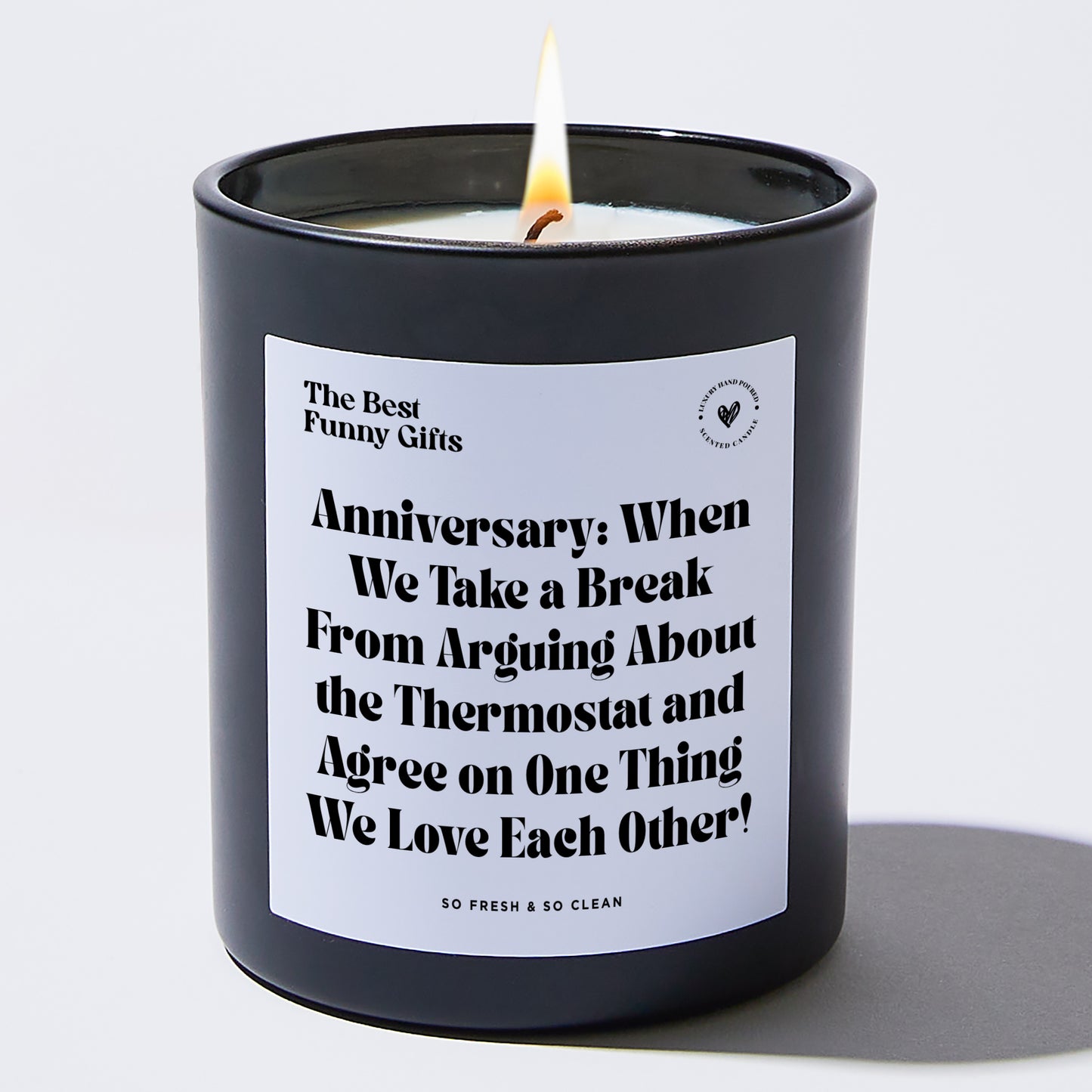 Anniversary Present - Anniversary: When We Take a Break From Arguing About the Thermostat and Agree on One Thing – We Love Each Other! - Candle